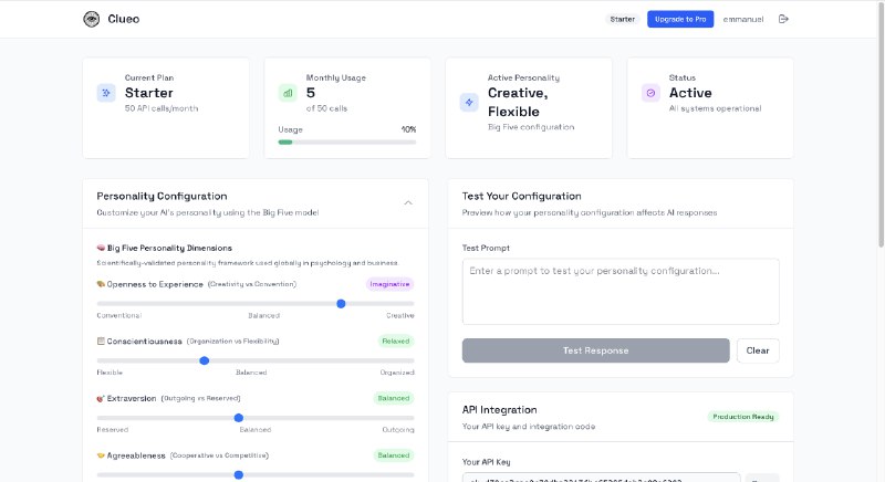9. ClueoAPI标语：每一款人工智能产品都缺失的个性层面