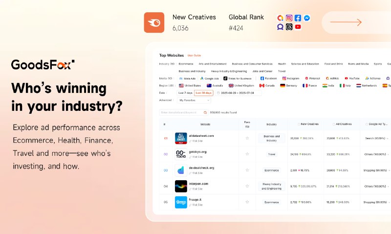 2. GoodsFox标语：追踪竞争对手的广告、流量来源以及成功的创意广告素材
